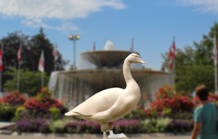 Photo of goose sculpture in front of Princess Margaret fountain in the day time.