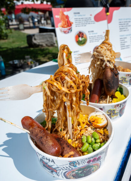 The Super Fly Noodle image